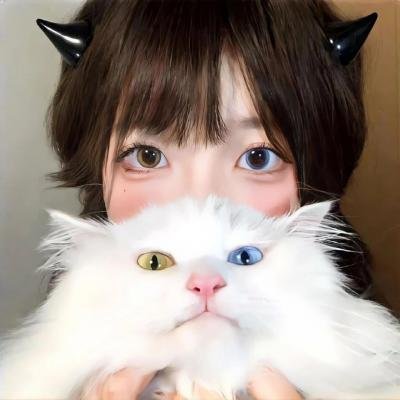 二凤